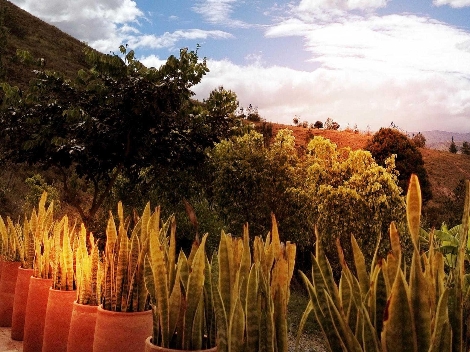 Hotel Alma, un lugar para ser Villa de Leyva Exterior foto